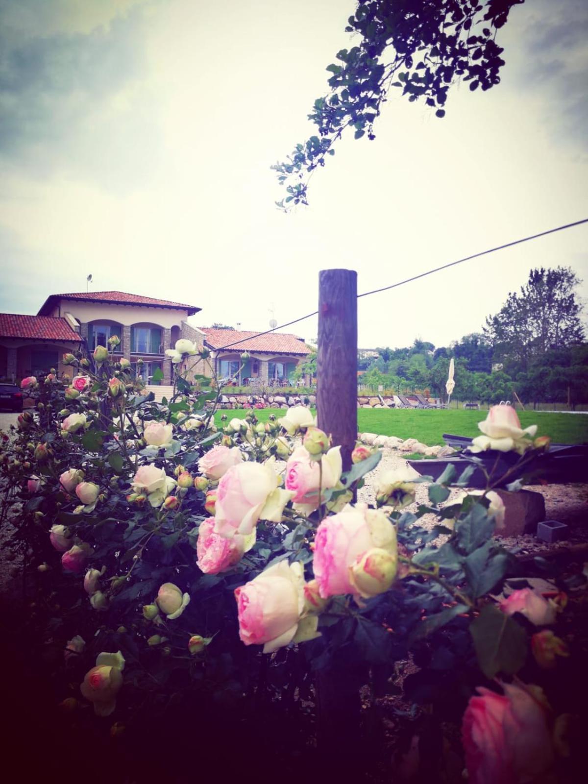 Orchidea Del Garda Bed & Breakfast Peschiera del Garda Exterior foto